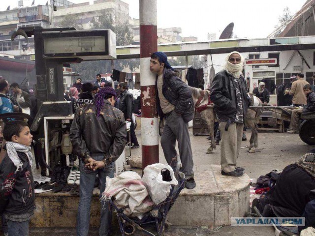 Есть ли жизнь в Алеппо?