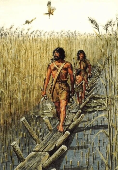 Деревянные мостки веремен неолита возрастом почти 6 тысяч лет