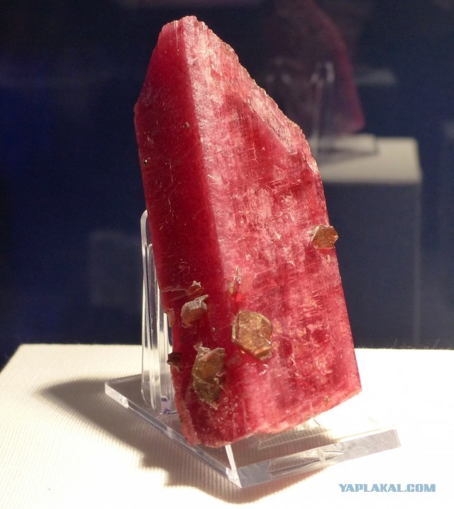 Mineralientage München 2018