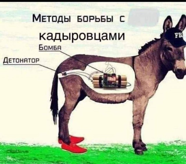 Бойцы батальона Ахмат вошли в Белгородскую область