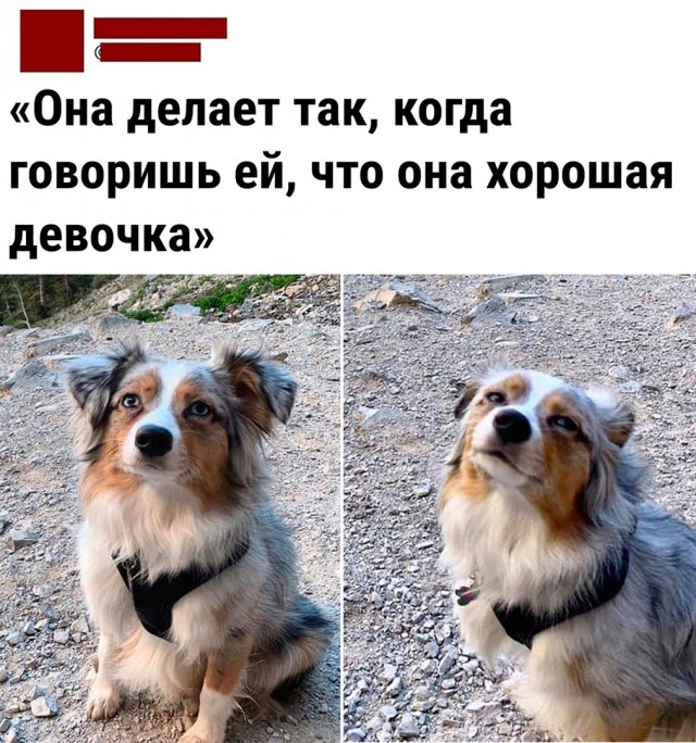 Так себе картинки 28.07.23