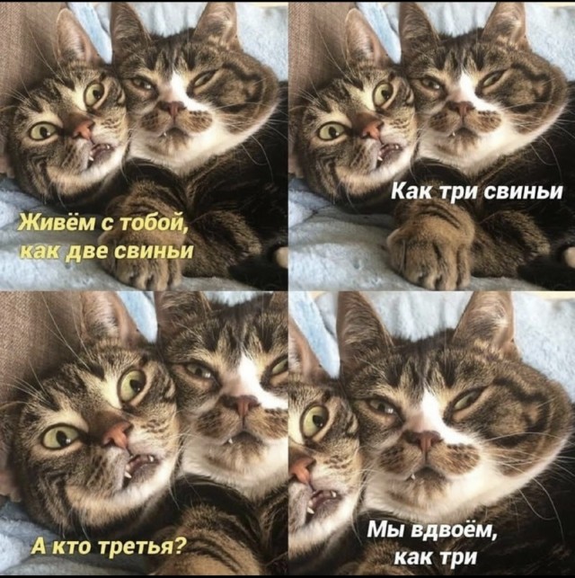 Нужны ли мужчины в современном мире?
