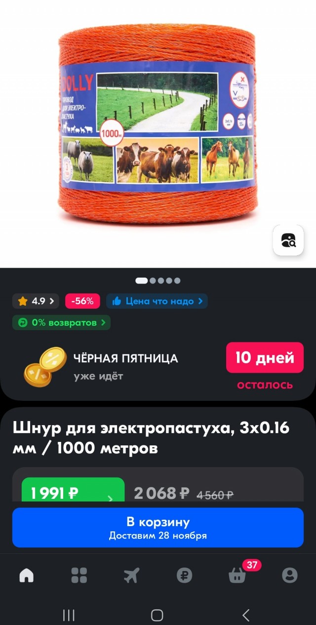 Потерянное поколение