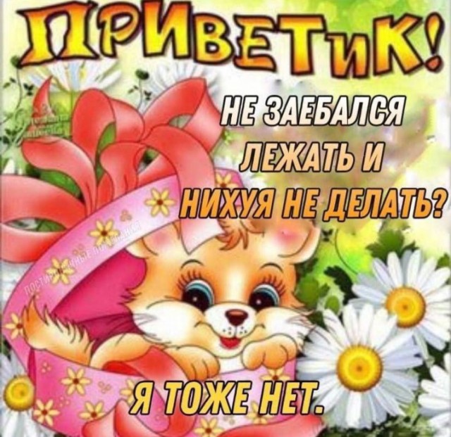 Всего понемногу. От 24.01.24