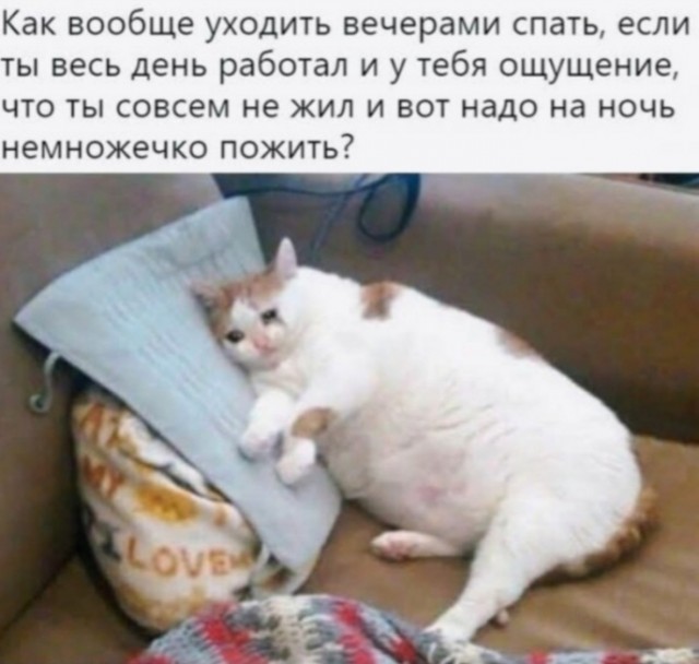 Отборные баяны 10-летней выдержки vol. 4