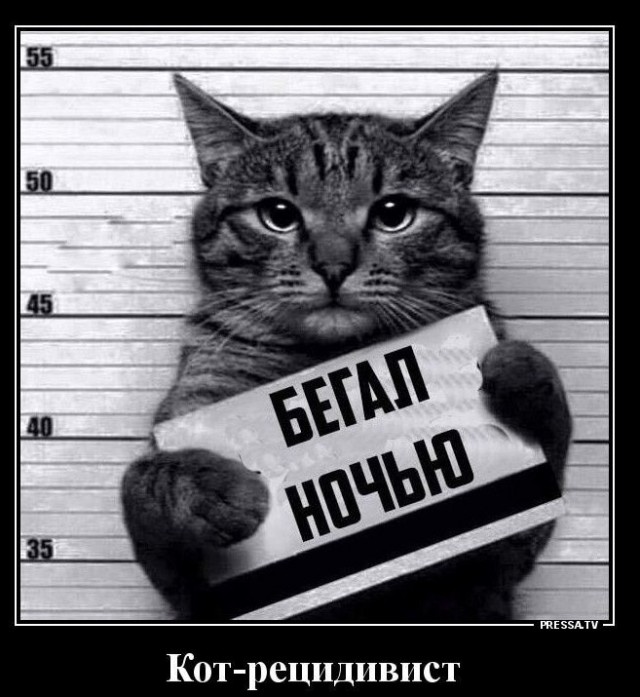 Кто-то доигрался⁠⁠