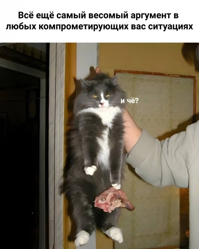 Картинки