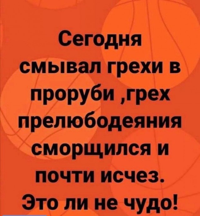 19748177.jpg