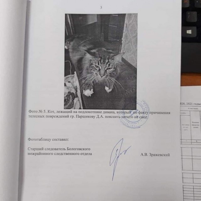Ну, разбавим вторник позитивом!