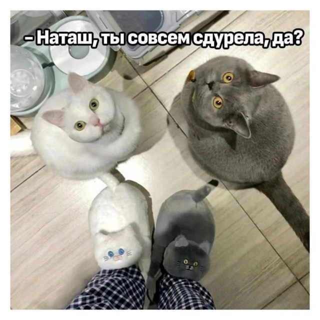 Завалялось тут случайно немного забавных картинок