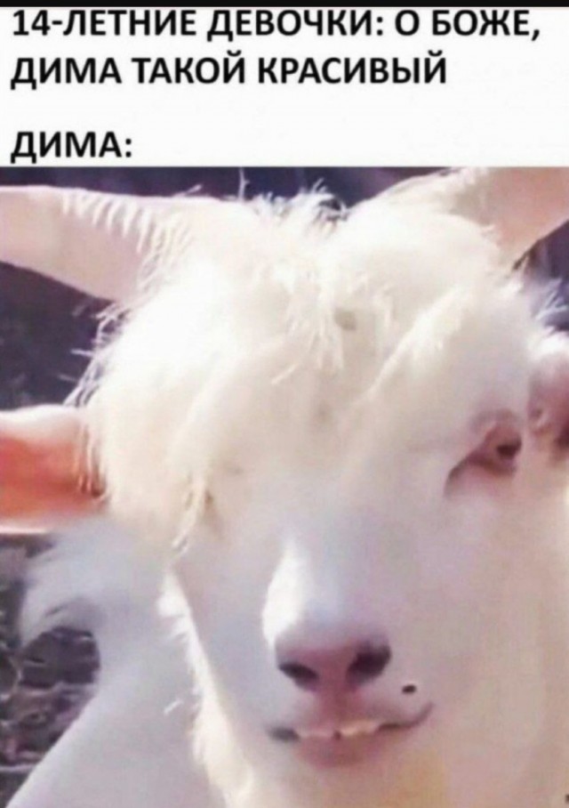 Так себе картинки 06.07.25