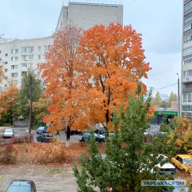 Осенние картинки