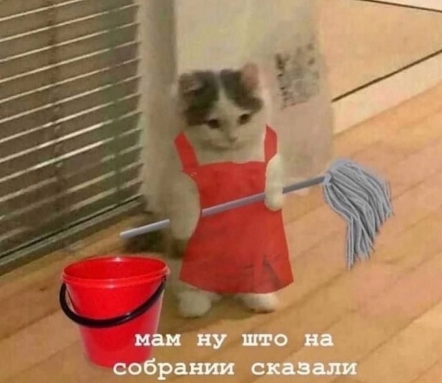 Еще только вторник …