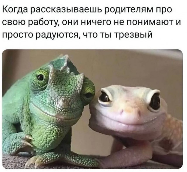 Дегронимикон