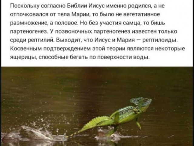 Немного баянчиков на вечер