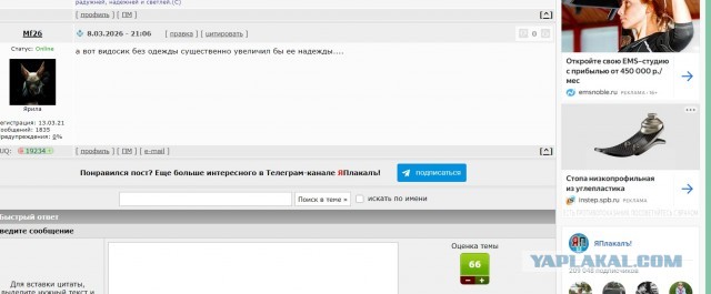 Камрады, а среди нас есть волки одиночки?