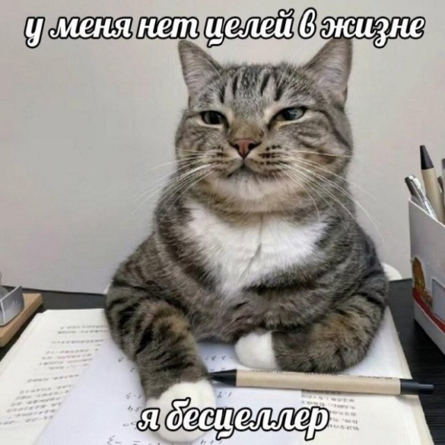 Так себе картинки 11.07.26