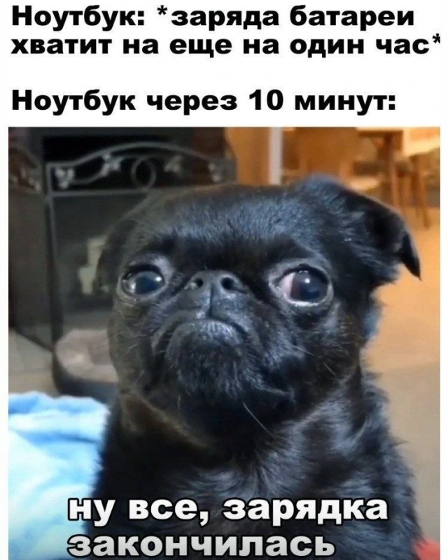 Картинки для деградации 283 (разной степени свежести)