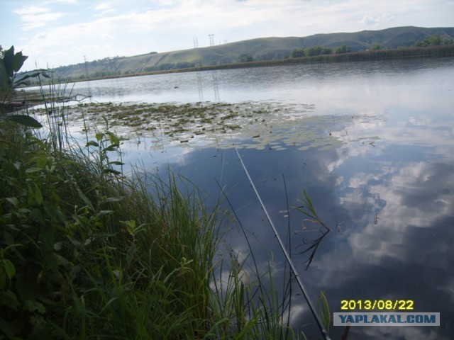 Поехали за грибами, приехали с карасями.