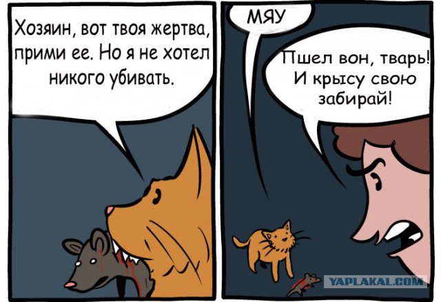 Почему кошки убивают мышей