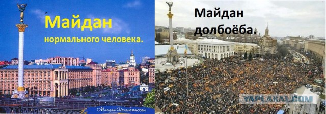 Законы эволюции на майдане.