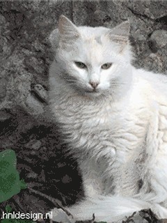 В угол!