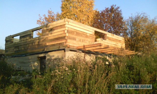 Что нам стоит дом построить