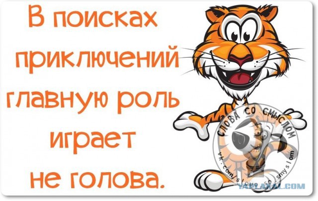 Веселые жизненные наблюдения из Вредного журнала