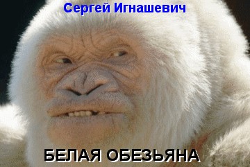 Игнашевич жестоко пошутил над Секу