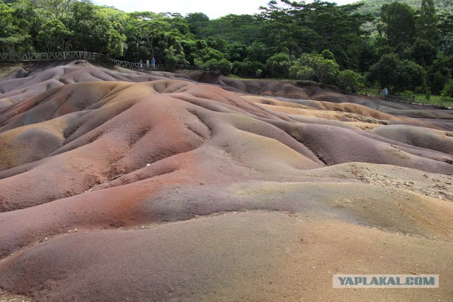 Россия и Маврикий ввели безвизовый режим