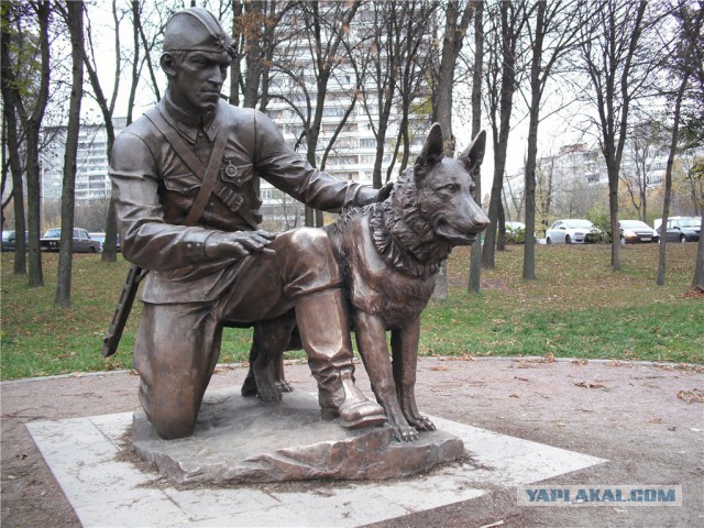 Они тоже сражались за Родину.