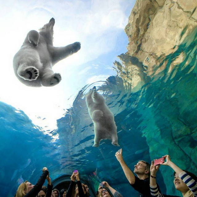 Подборка интересных и веселых фото