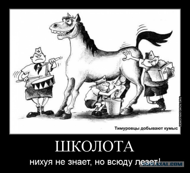 После развода. Хостел