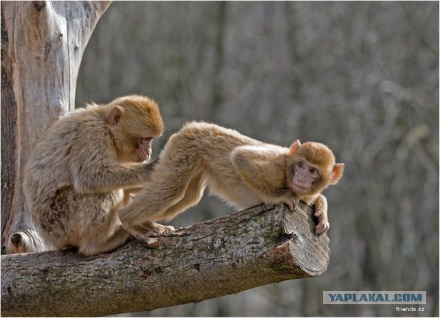 Что видят с рабочего места люди разных профессий