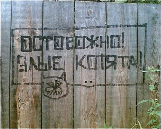 Картинки из инета