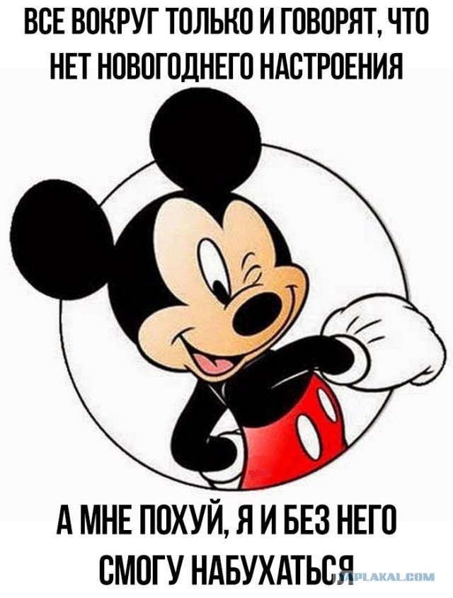 Без обид, это просто вопрос...