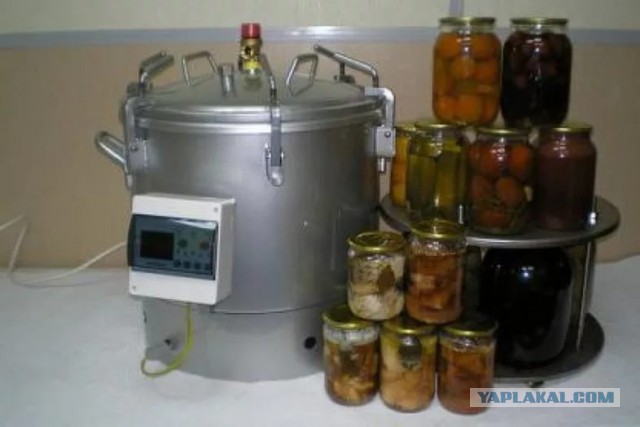 Мясо из пробирки подешевело в 30 000 раз за 4 года