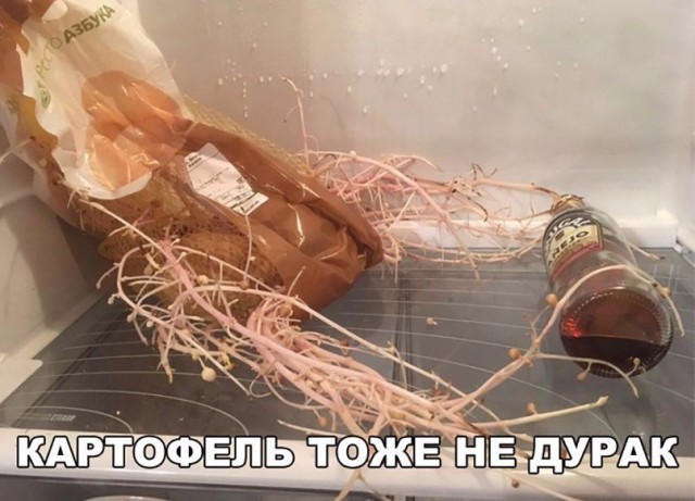 Подборка интересных и веселых картинок