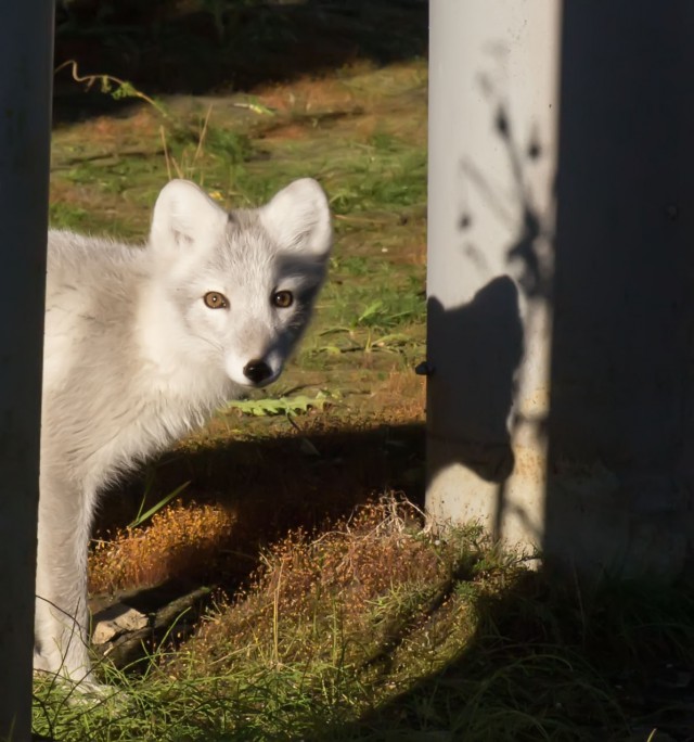 Просто Природа