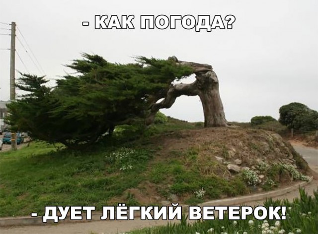 Нестандартный юмор