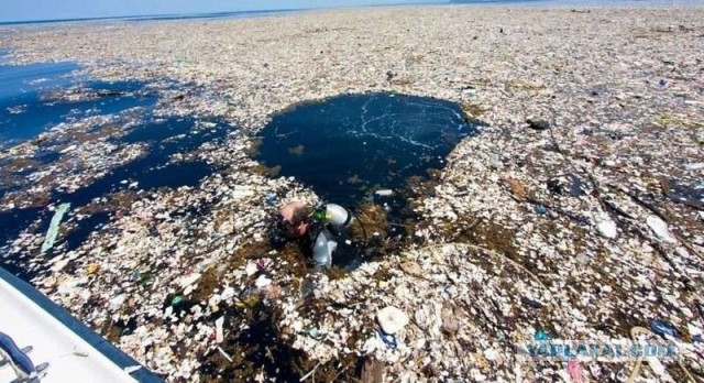 Компания "The ocean cleanup" начнет очищать океан от большого мусорного пятна