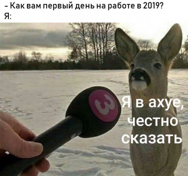 Немного картинок на вечер