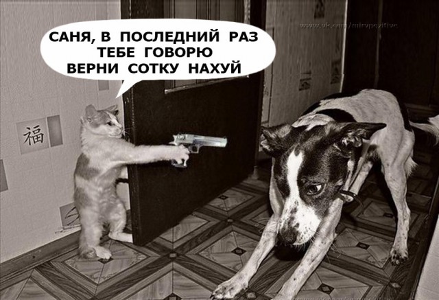 Немного картинок для настроения