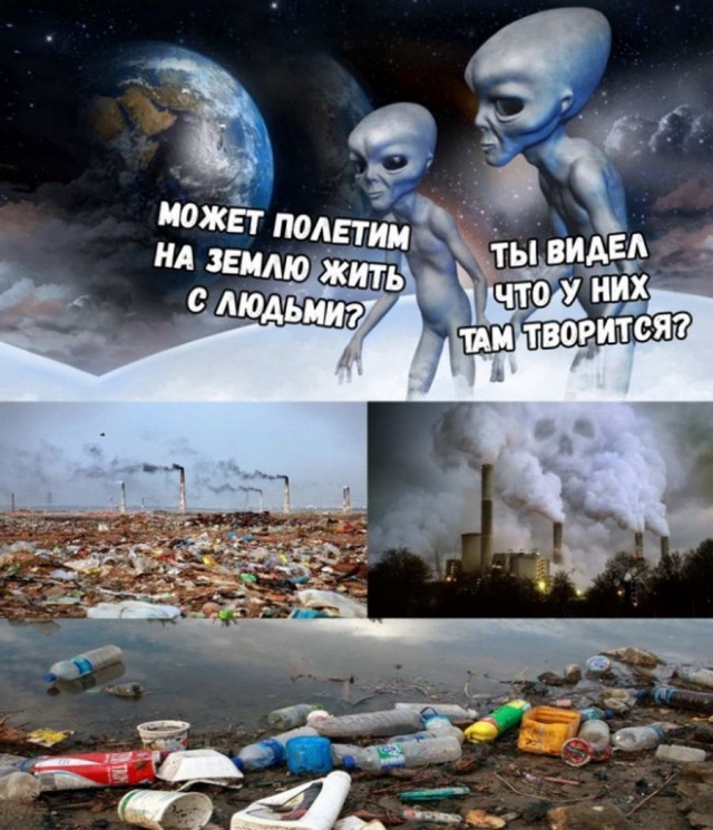 Дурацкие картинки
