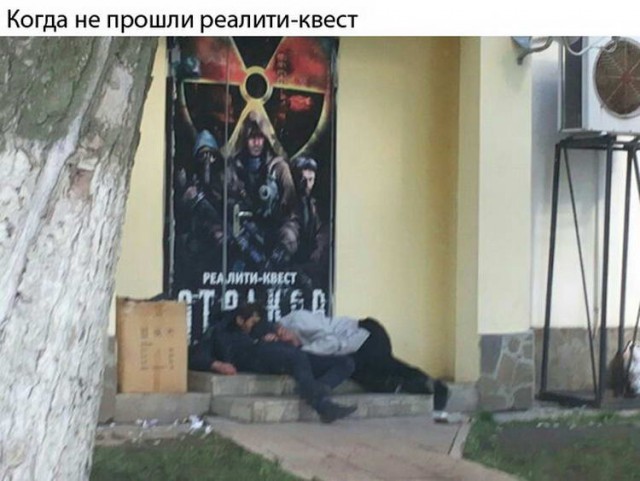 Скотсети и прочие интернеты 25.04.2019