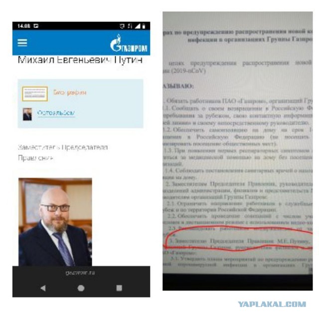 Племянник Путина хочет создать свою партию