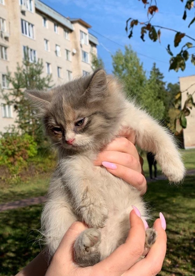 Чуток картинок не про вирус  18.0.  Животные
