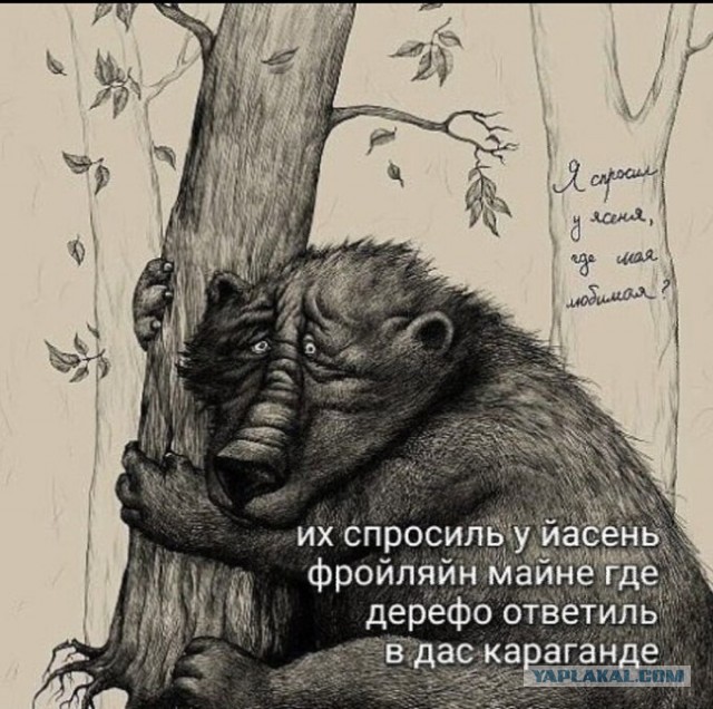 Картинки с надписями и всякие жизненные фразы 01.12.2020