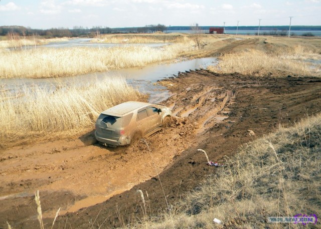 На Шершни в глиноговны
