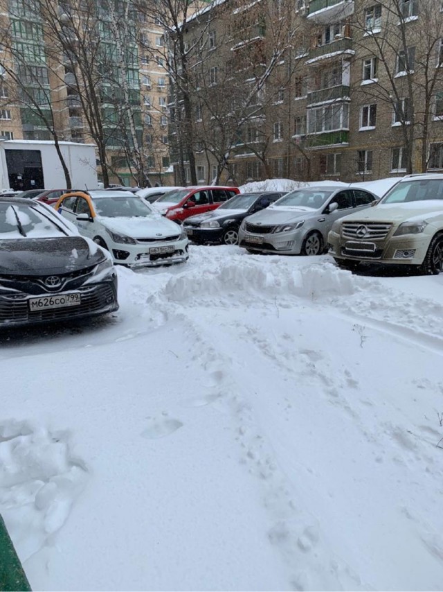 Снегопад в Москве выявляет чудаков на другую букву